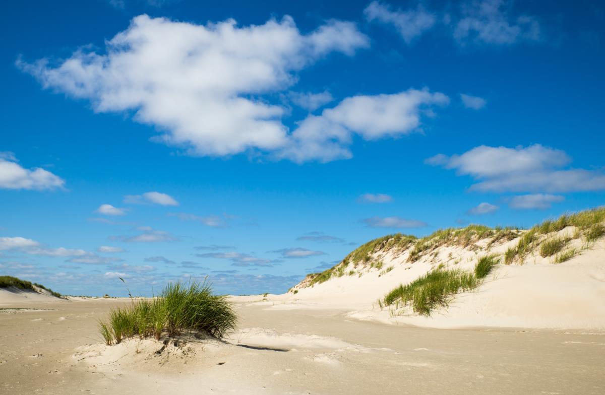 Perlen Ostfrieslands